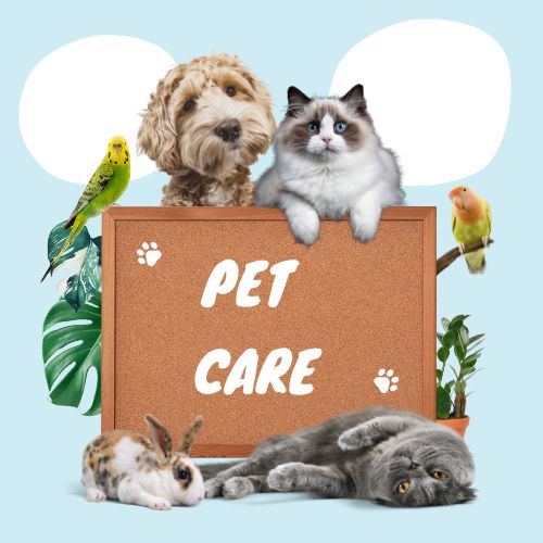 Pet Care